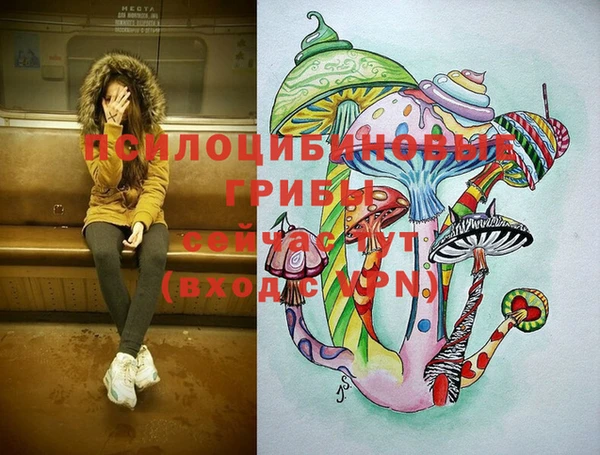 индика Медвежьегорск