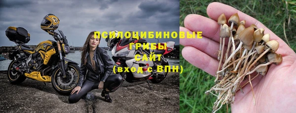 винт Алзамай