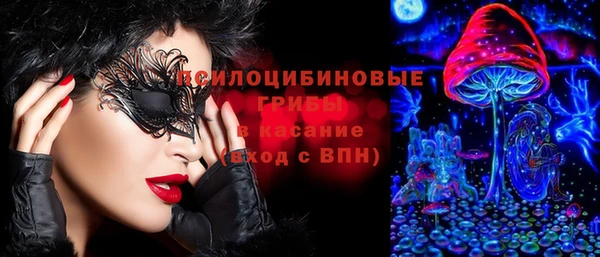 винт Алзамай