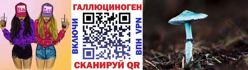 shop как зайти  Тамбов  Галлюциногенные грибы Magic Shrooms 